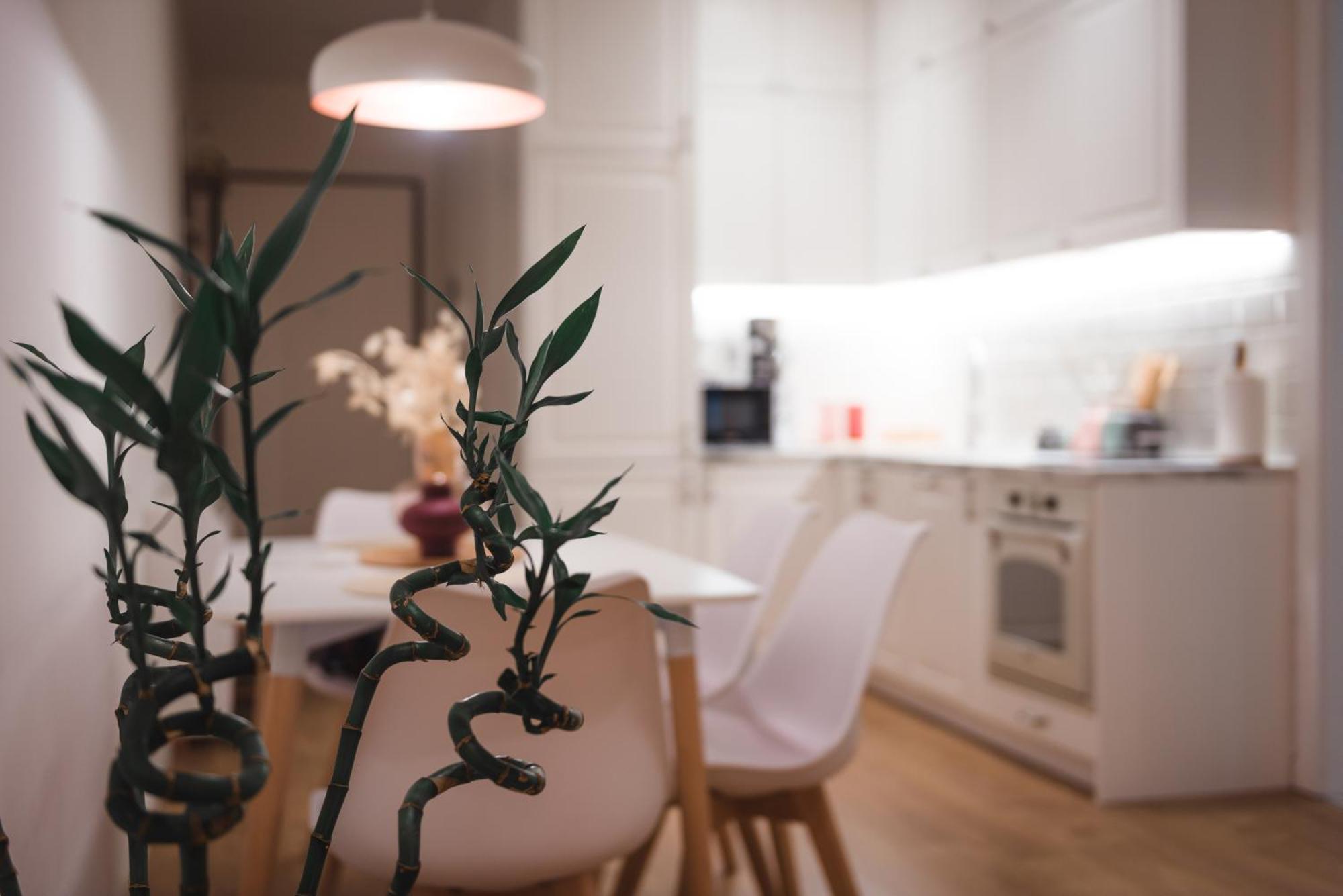 Tam Skanderbeg Square Serviced City Center Apartment No1 地拉那 外观 照片